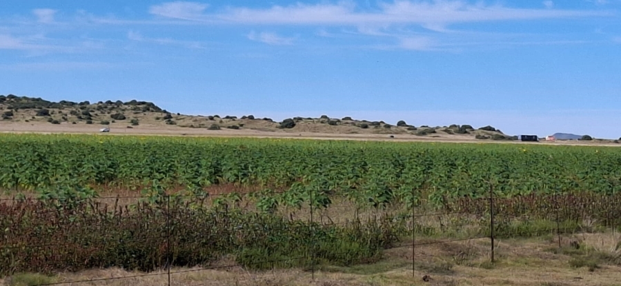 Commercial Property for Sale in Bloemfontein Rural Free State